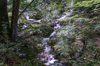 /album/barenschutzklamm-19-august-2025/barenschutzklamm-schusserlbrunn-19-08-2025-1-jpg/